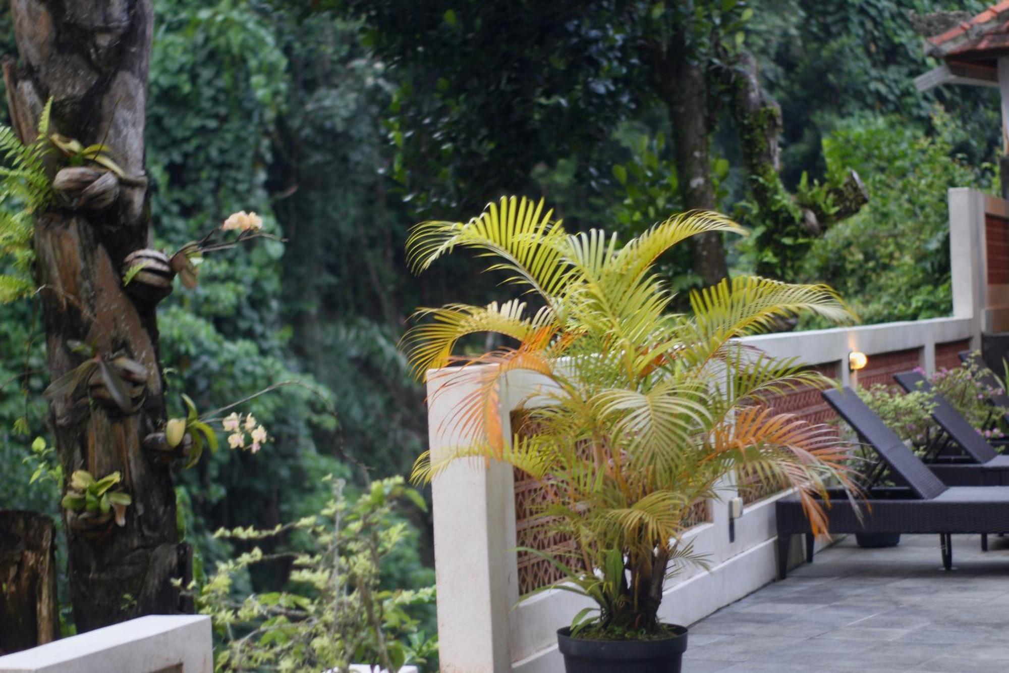 Hanaka Riverside Ubud Exterior foto